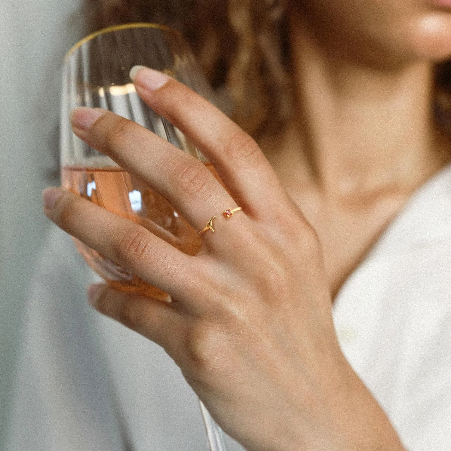BAYLAY Initial Birthstone Rings for Women Teen Girls - Adjustable Birthstone Initial Stackable Rings Dainty Gold Initial Letter Rings Cubic Zirconia Rings for Teen Girls Women Jewelry Gifts